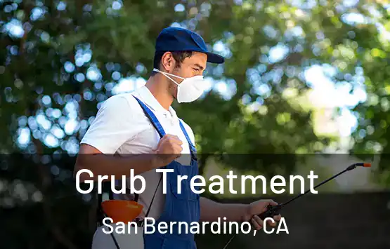  Grub Treatment San Bernardino, CA