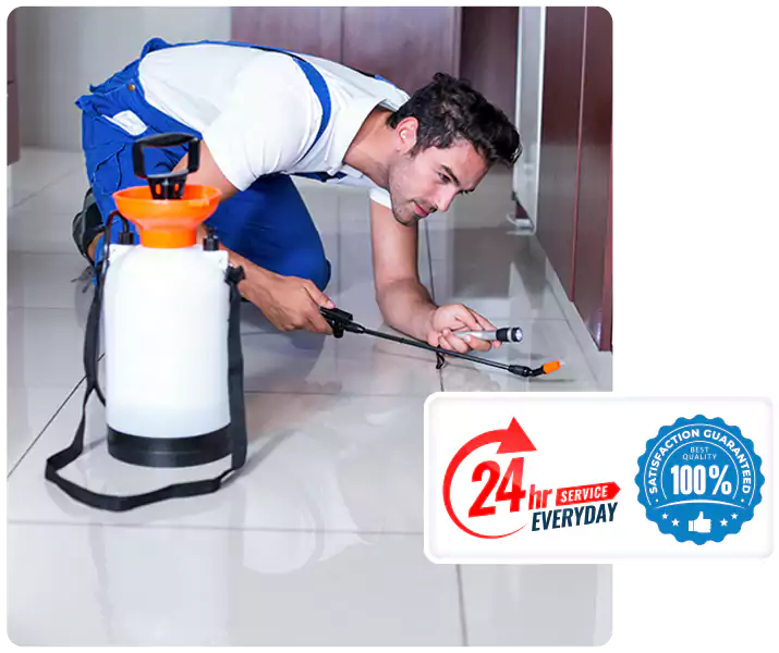 Year-Round Pest Prevention Plans in San Bernardino