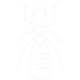 Carpenter Ants Pest Control San Bernardino, CA