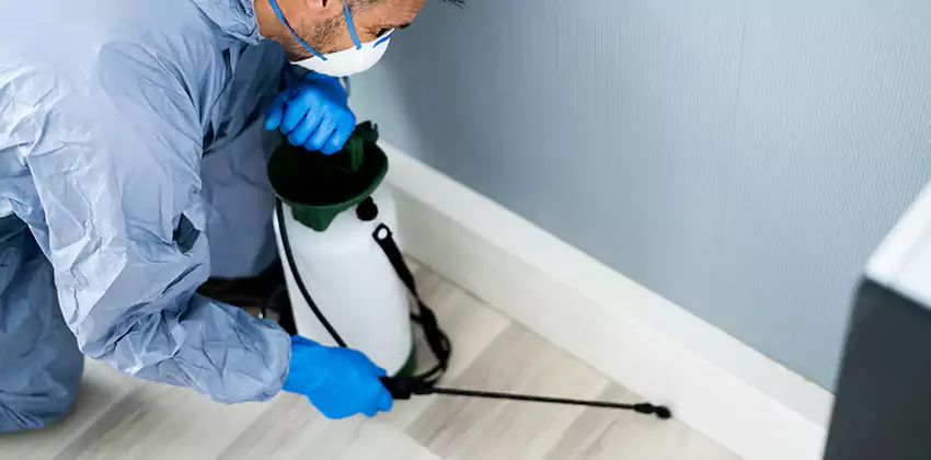 pest-exterminator in San Bernardino, CA