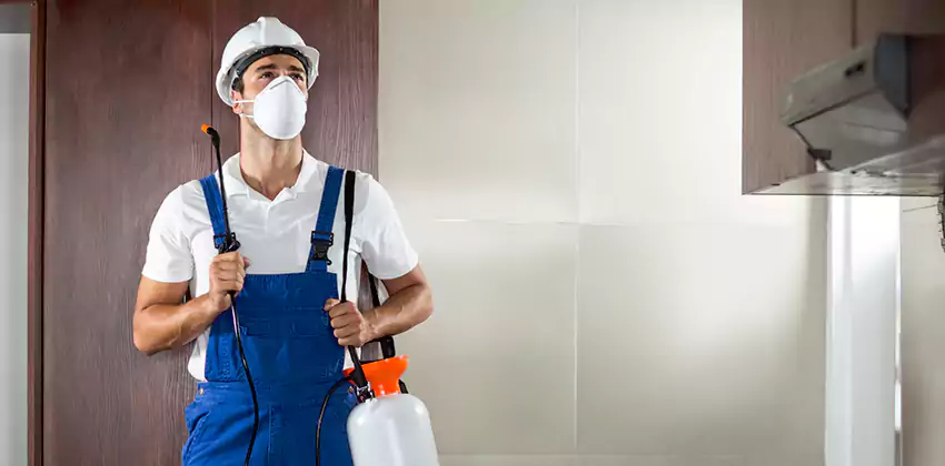 pest-inspection in San Bernardino, CA