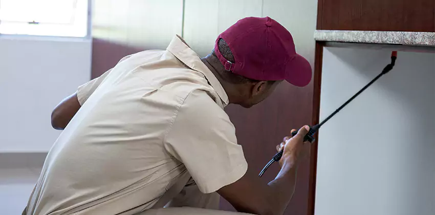 termite-inspection in San Bernardino, CA