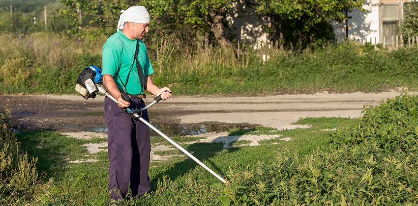 tick-treatment-for-yard in San Bernardino, CA