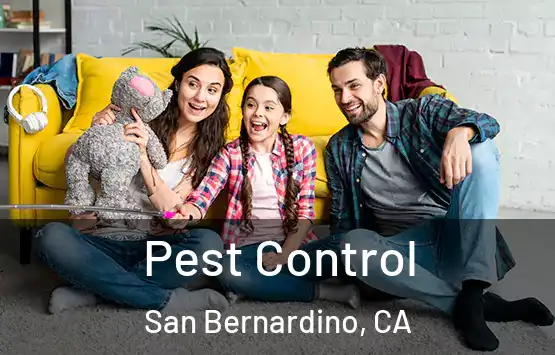  Pest Control San Bernardino, CA