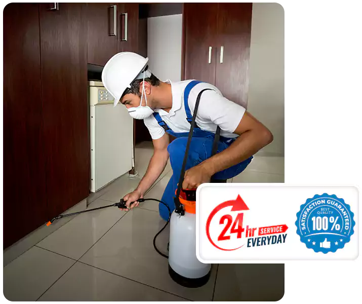 About Termite Treatment San Bernardino